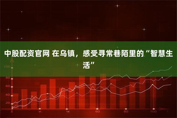 中股配资官网 在乌镇，感受寻常巷陌里的“智慧生活”